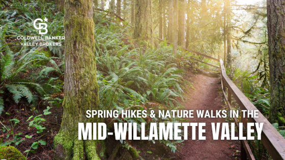 Spring Hikes and Nature Walks Around the Mid-Willamette Valley | Coldwell Banker Valley Brokers